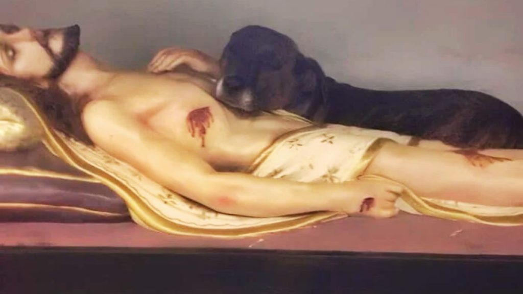 MILAGRE DE QUATRO PATAS: Cadelinha de rua emociona ao repousar no colo de Jesus em igreja de São Paulo