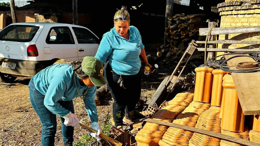 Identificação de escorpião-amarelo mobiliza ações da Vigilância em Saúde no Distrito de Caramujo